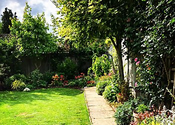 Southampton lawn care Lawn & Order Gardening Services Ltd image 1