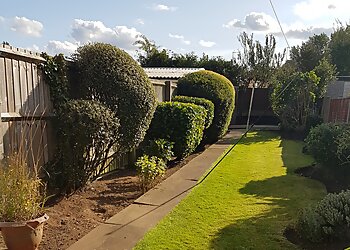 Lawn Ranger Gardening