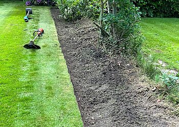 Lawn Stripes and Hedges-Limited