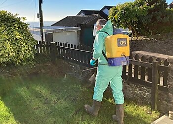 Lawn and Weed Expert