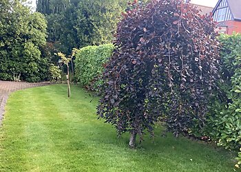 Lawn and Weed Expert