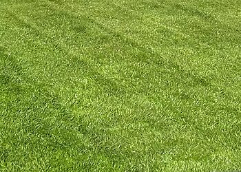 Lawnscience North Nottinghamshire