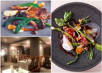 Le Champignon Sauvage