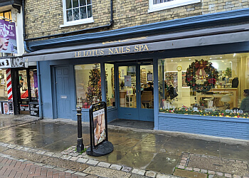 Le Lotus Nail Spa