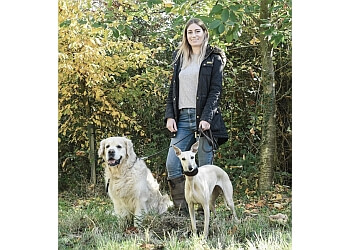 best dog trainers near me best dog trainers near me