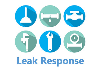 Leak Response