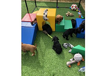 Cambridge dog trainers Leaps and Bounds School for Hounds Outdoor Training Centre image 1