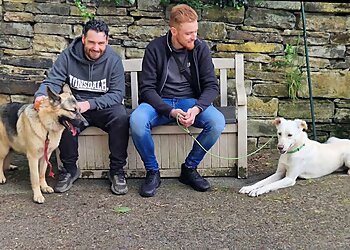 Leeds Dog School