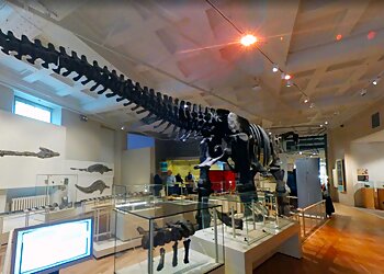 Leicester Museum & Art Gallery