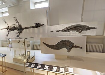 Leicester Museum & Art Gallery