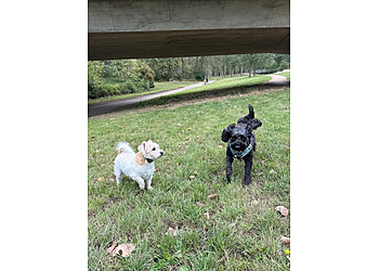 Lenny's Friends Dog boarding