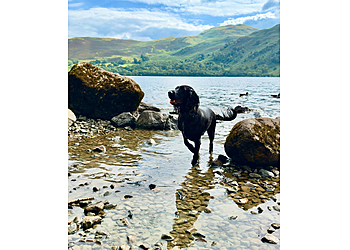 Lenny's Friends Dog boarding