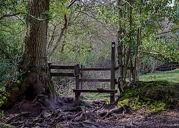 Lickey Hills Country Park