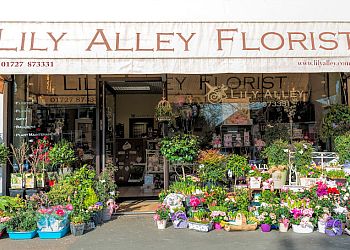 Lily Alley Florist Ltd