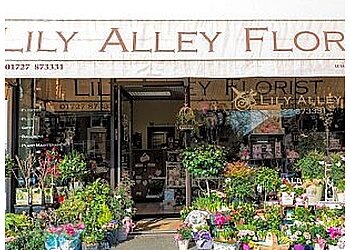Lily Alley Florist Ltd