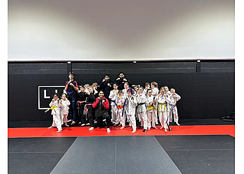 Limitless Martial Arts