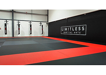 Limitless Martial Arts
