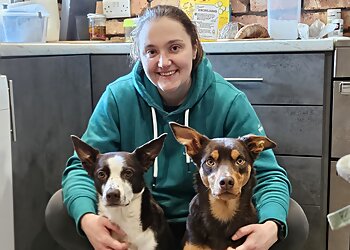 Lisburn Dog Groomers Ltd