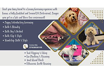 Lisburn Dog Groomers Ltd