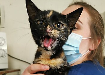 Lisburn Veterinary Clinic