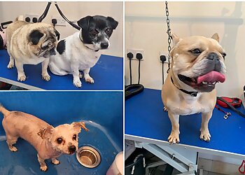 Littlegems Canine Care & Grooming