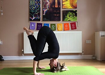 LiveLearn.Yoga