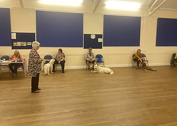 Liverpool Dog Training