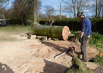 Liverpool Tree Care Services Ltd