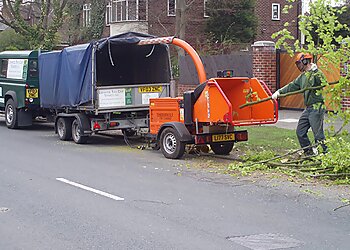 Liverpool Tree Care Services Ltd
