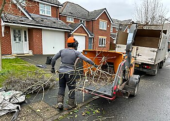 Sefton tree services Liverpool Tree Surgeon image 1