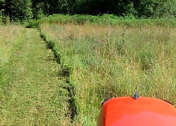 Llewellyn Tree Services Ltd