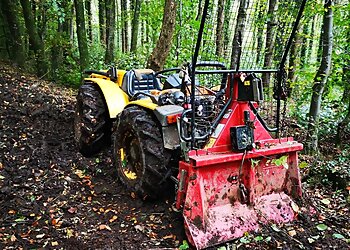 Rhondda Cynon Taff tree services Llewellyn Tree Services Ltd  image 1