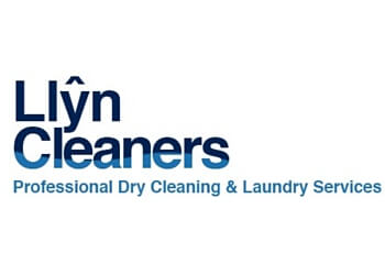 Llyn Cleaners