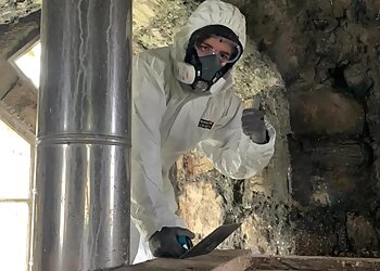 Local Pest Controller