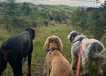 Lockerbie Pet Services