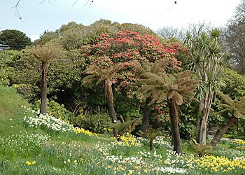 Logan Botanic Garden