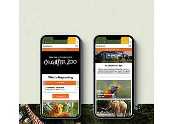 Logic Design & Consultancy Ltd.