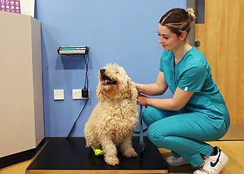 Longwell Green Veterinary Centre