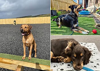 Lothlorien Dog Services