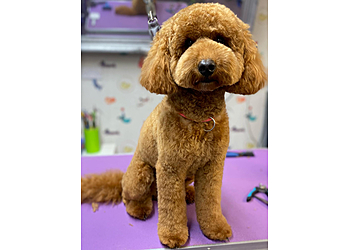 Love Dog Grooming Ltd.