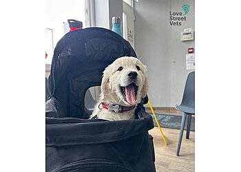 Love Street Vets