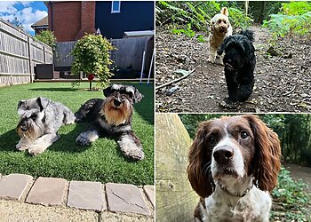 Lovin Paws Dog Walking and Boarding