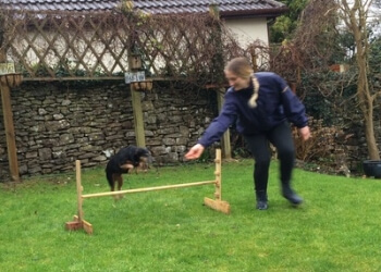 Lucy Shipway Dog Services