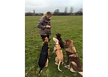 Lucy Shipway Dog Services Lucy Shipway Dog Services