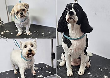 Lucy's Dog Grooming