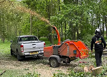 LumberJack Tree Services