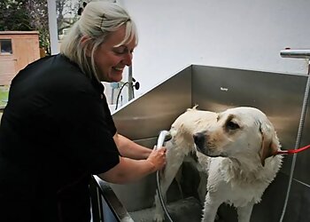 Lune Dog Grooming
