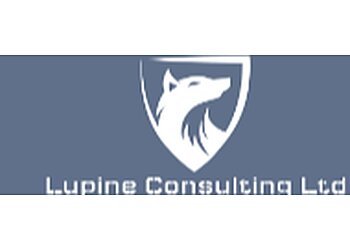 Basildon private investigators Lupine Consulting Ltd image 1