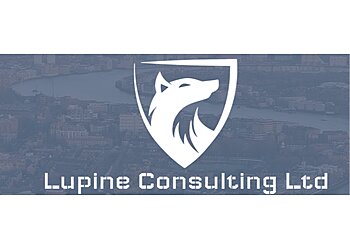 Waltham Abbey private investigators Lupine Consulting Ltd image 1