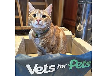 Vets for Pets Luton